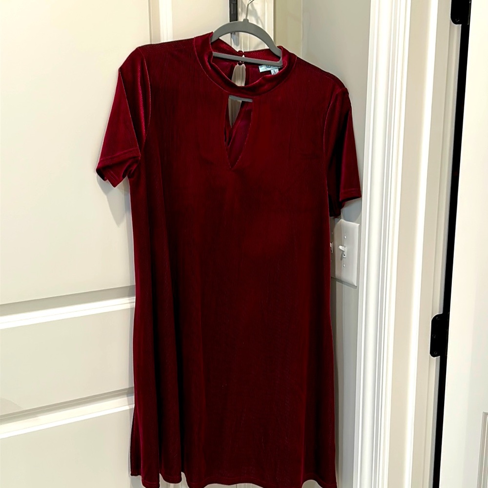She & Sky dark red velvet dress Size Large
